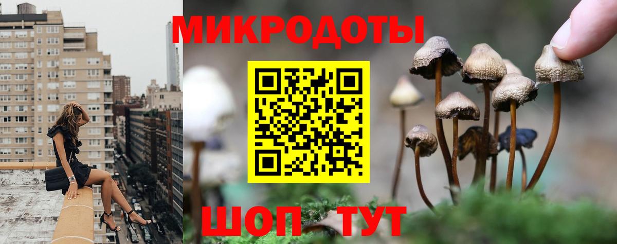 Псилоцибиновые грибы мицелий Жуковский