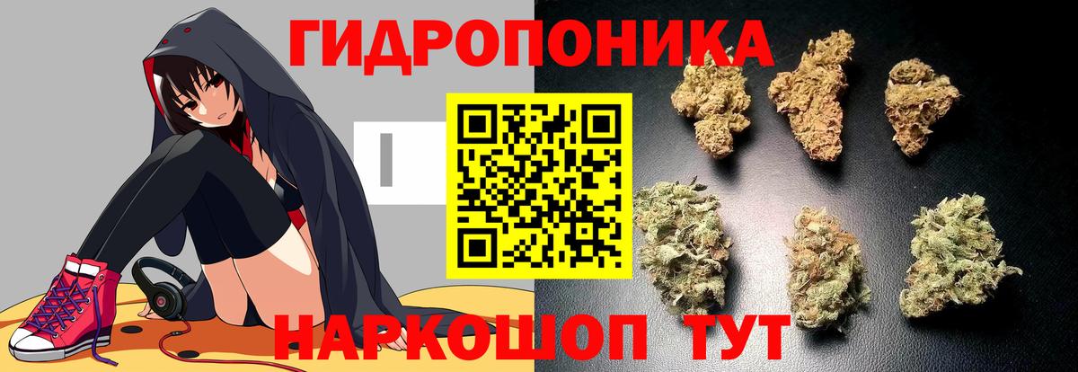 Каннабис Amnesia Жуковский